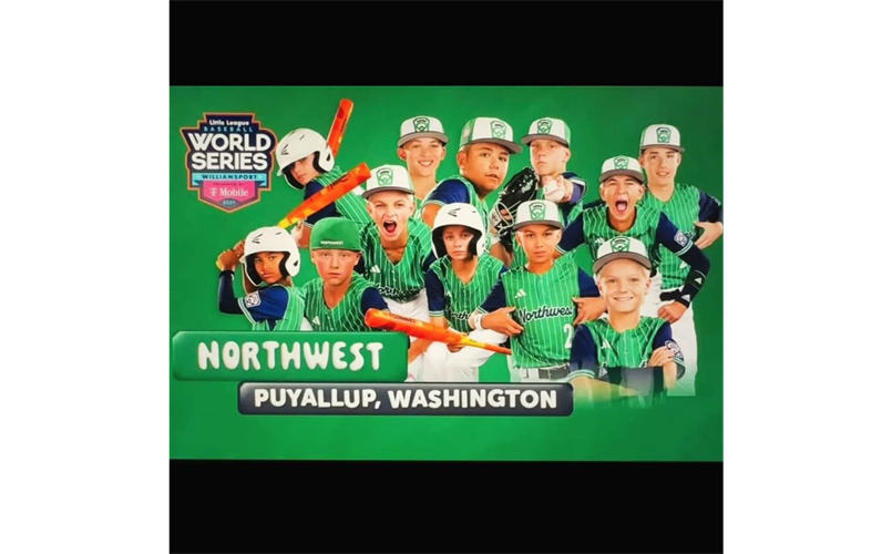 Majors Baseball World Series! 